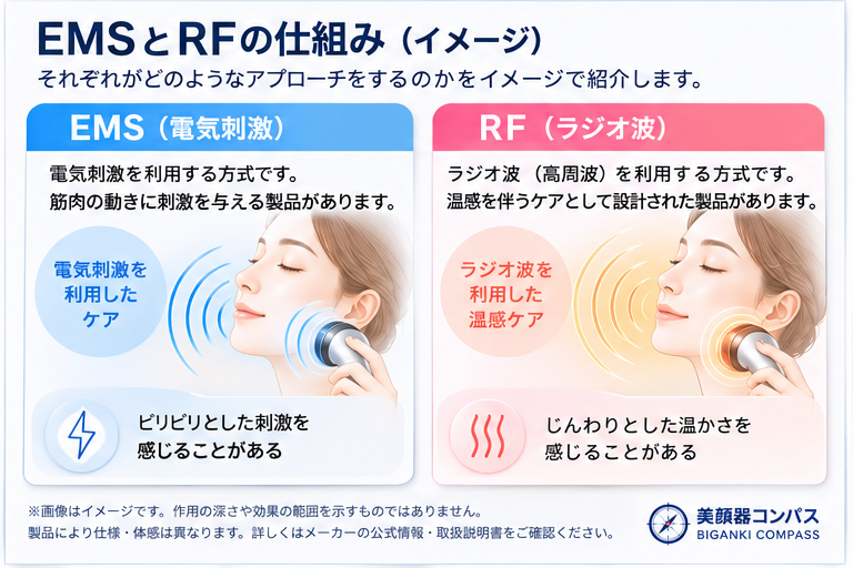 電気刺激を利用するEMSとラジオ波を利用するRFの仕組みのイメージ