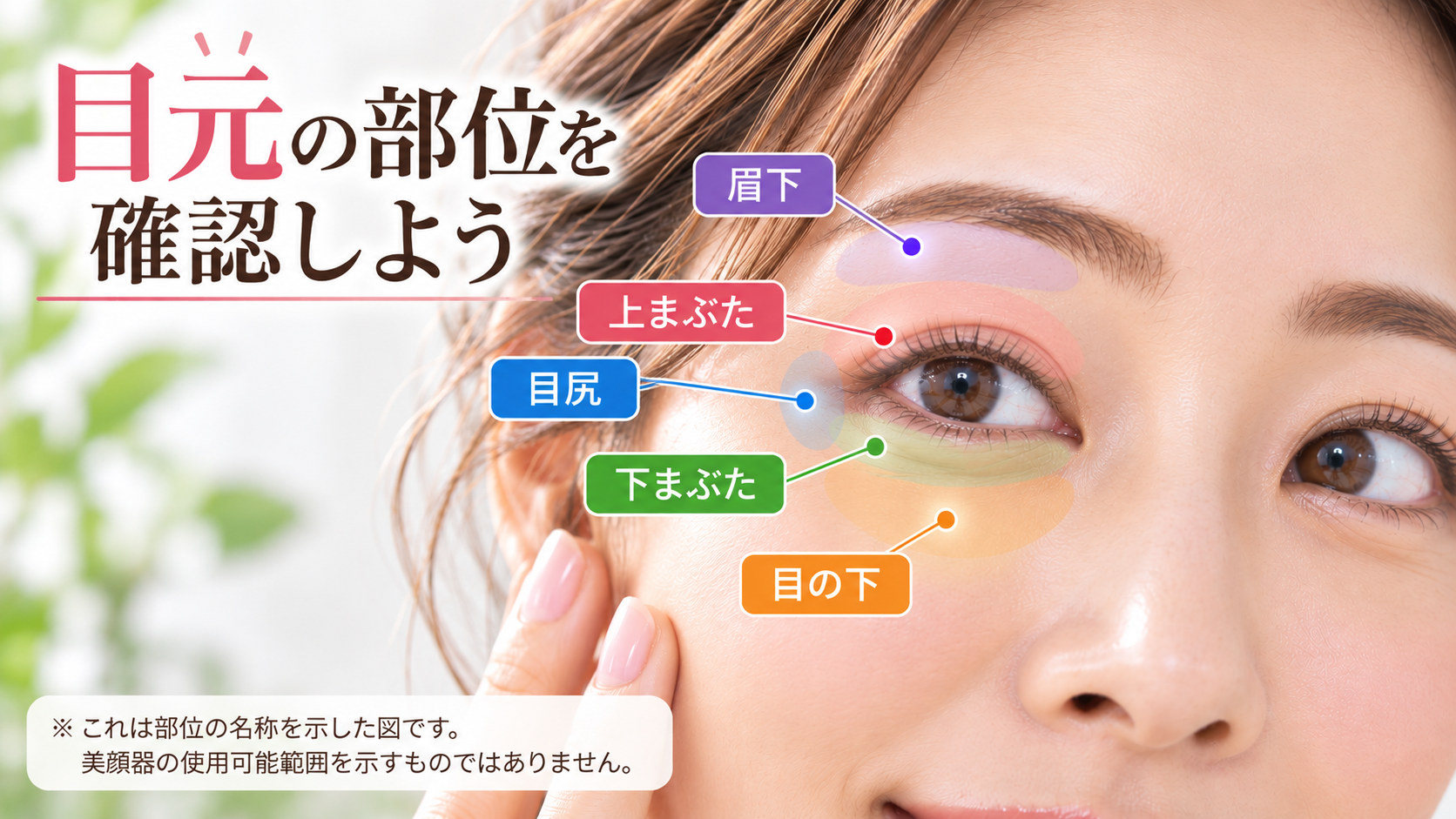 目元の部位の名称を確認するための図。使用可能範囲を示すものではありません